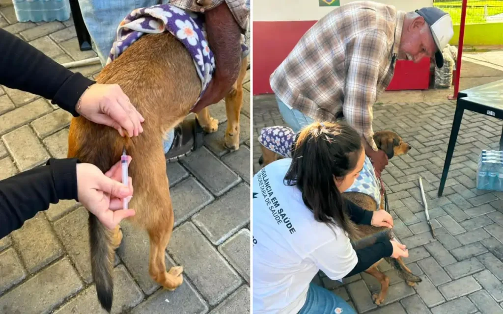 Equipe da campanha antirrábica aplica vacina em cão durante ação em Extrema