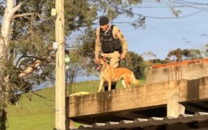 Foto: Jornal Mais Extrema